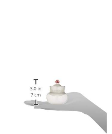 The History of Whoo Gongjinhyang Seol Radiant White Intensive Corrector - Powerful Brightening Spot Care Cream (20ml) for Dark Spot Coverage - Buy Online on GoSupps.com