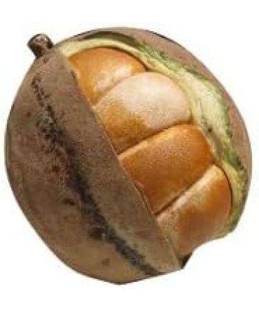 Touloucouna Oil the secret ingredient for sensitive skin and scalp dry hair - Buy Online on GoSupps.com