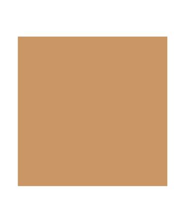 Even Better Makeup Broad Spectrum SPF 15 - WN 92 Toasted Almond | Corrects and Evens Skin Tone - Buy Online on GoSupps.com