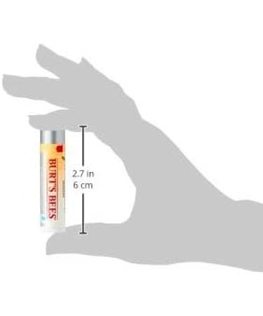 Burt s Bees Lip Balm for Dry Chapped & Cracked Lips Ultra Conditioning Lip Repair with Kokum Butter Shea Butter and Cocoa Butter Unscented 4.25g (Pack of 2) Ultra Conditioning with Kokum Butter 4.25g (Pack of 2) - Buy Online on GoSupps.com