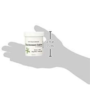 4oz Chickweed Salve: 100% Pure Organic Anti-Itch Cream for Dry Skin Relief - Buy Online on GoSupps.com