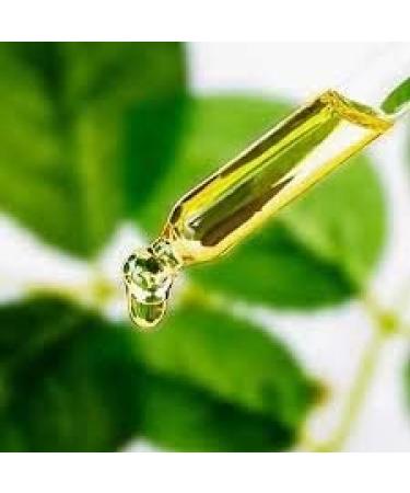 Creme Fixes makeup spray makeup fixer bio protects the skin excellent primer against makeup 180 ml - Buy Online on GoSupps.com