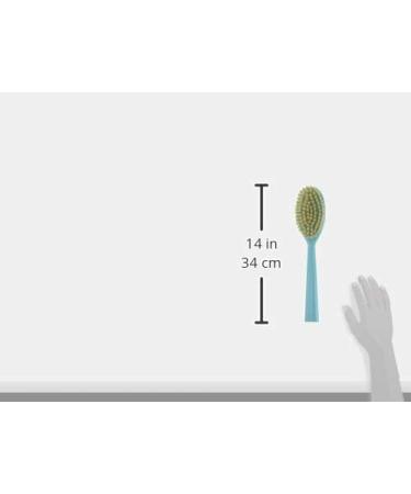 Acca Kappa R.TS8316 Double Massage Brush 100ml - Large Consumption | International Shipping Available - Buy Online on GoSupps.com