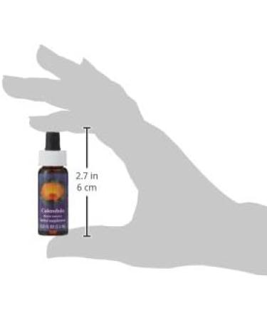 Flower Essence Services Calendula Dropper 0.25 Ounce - Buy Online on GoSupps.com