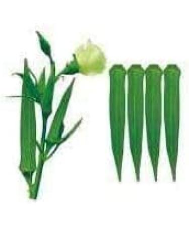 ORGANIZE Tridev ayurveda Bhindi RootLadyfingerBhindi Plantaerdig Wortelpoeder 100 gm - Buy Online on GoSupps.com