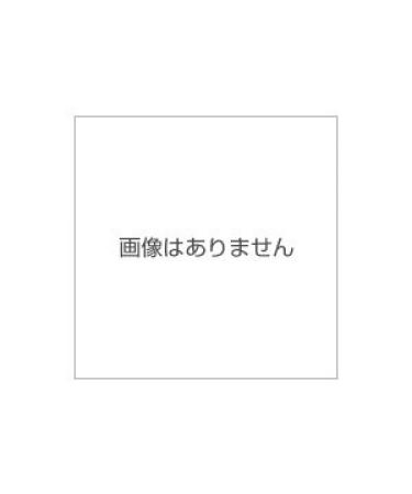Panasonic RKAX0033-K Leg