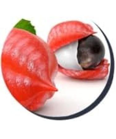 Vitalinv Limited Nicorix Cigarette Rehabilitation Therapy pack of 3 no cigarettes for your body - Buy Online on GoSupps.com