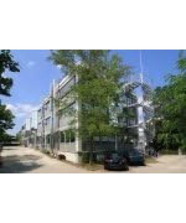 Paternity Test Duo for Father & Child - Accurate & Confidential DNA Testing - International Shipping Available - Buy Online on GoSupps.com