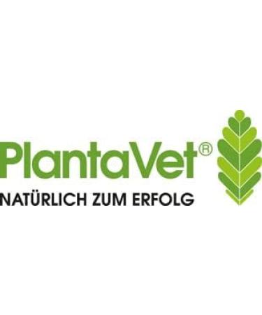 Plantavet Canipulmine Liquid for Dogs 100ml | Supplementary Feed for Respiratory Support | Enriched with Thyme & Ivy - Buy Online on GoSupps.com