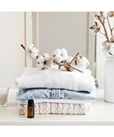 Kleen-Free Naturally Enzyme Cleaner - Multi-Purpose Laundry Additive Concentrate 16oz | Original Scent - International Shipping Available - Buy Online on GoSupps.com