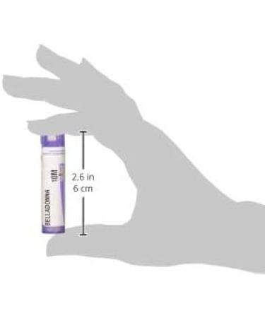 Boiron Belladonna 10M MD - 80 Pellets for High Fever (up to 102 F) & Sudden Onset Relief - Optimize Your Health Naturally - Buy Online on GoSupps.com