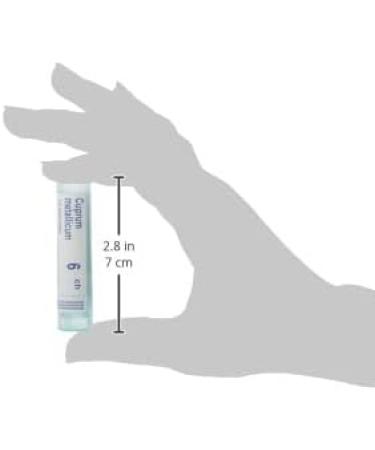 Cuprum Metallicum 6ch Boiron Homeopathic Medicine - Buy Online on GoSupps.com