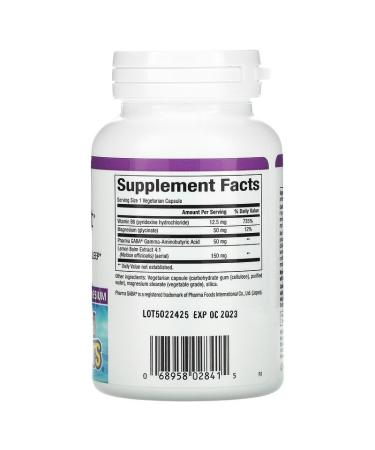 Natural Factors Stress-Relax Mind Retreat - 60 Vegetarian Capsules for Calm & Focus - Buy Online on GoSupps.com