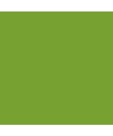 PME 100% Natural Food Colouring - Juniper Green 25 g Single - Buy Online on GoSupps.com