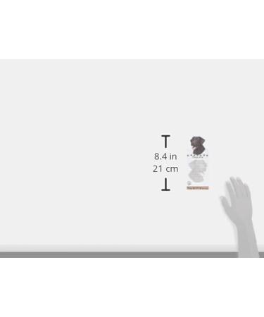Chocolate Labrador Magnetic List Pads - 8.5x3.5 Unique Sticky Notepad for Dog Lovers | International Shipping - Buy Online on GoSupps.com
