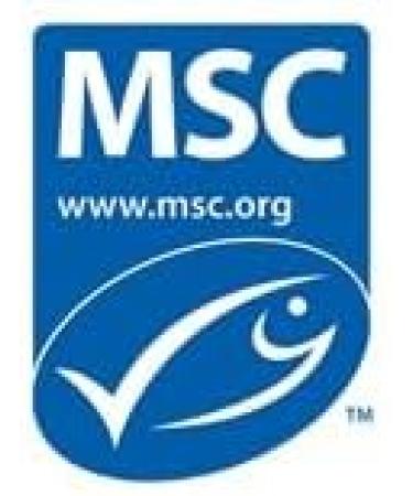 Big Bold Health Omega-3 Rejuvenate Fish Oil Supplement - Lemon - 120 Softgels - Buy Online on GoSupps.com