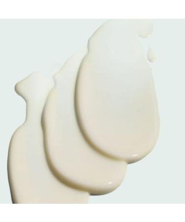IMAGE Skincare VITAL C Hydrating Hand & Body Lotion - Brightening & Moisturizing with Vitamin C, Shea Butter, Hyaluronic Acid - 6 oz - Buy Online on GoSupps.com