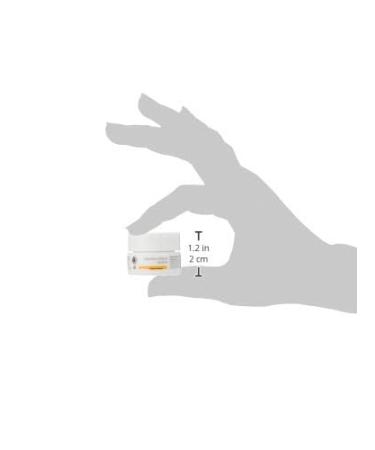 Buy Wala Dr. Hauschka Lip Cosmetics 4.5 ml - International Shipping | Natural Beauty Products - Buy Online on GoSupps.com