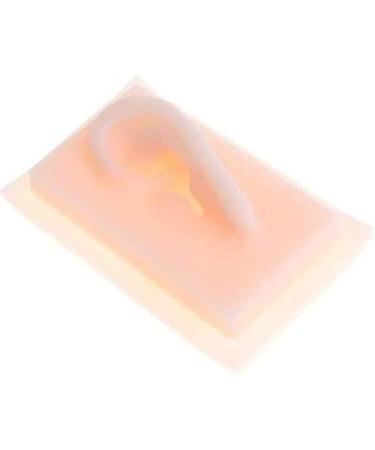Model of Ear A Model of Silicon Ears Couple Human Model The of The Medical Research Pelle9 7 X 6.3 Centimeters / 3.82 X 2.48Inch - Buy Online on GoSupps.com