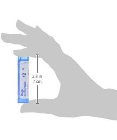 Boiron Thuja Occidentalis 12C Homeopathic Medicine - 80 Pellets for Wart Removal - Buy Online on GoSupps.com