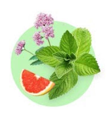 Splat Special Stress Off Toothpaste - Soothing Formula for Fresh Breath & Relaxation | Buy Internationally - Buy Online on GoSupps.com