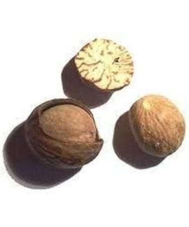 Nutmeg | Nutmegs Whole Dried Grade A Premium Quality 100g 100.0 grams - Buy Online on GoSupps.com