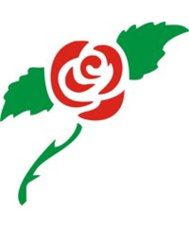 Eulenspiegel 105016 - Self-adhesive stencil - Rose