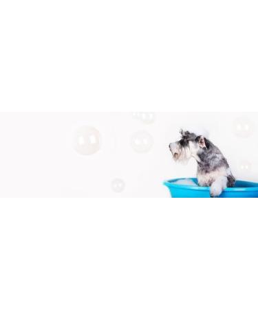 Roqsy Nature Dog Shampoo 500ml | Vegan Organic Natural for Long-Haired & Sensitive Skin | Allergy-Friendly for All Breeds & Fur Colors - Buy Online on GoSupps.com
