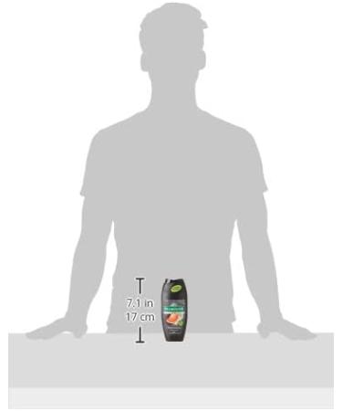  Palmolive Palmolive Energising 3-in-1 Shower Gel for Men - 6-Pack - For Body Face and Hair - With Citrus Essential Oil and Magnesium Extract - Buy Online on GoSupps.com