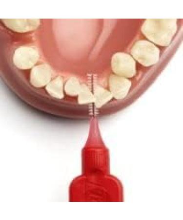 TePe 0.5 mm Size 2 Original Interdental Brush - Pack of 8 Red 1 count (Pack of 8) - Buy Online on GoSupps.com
