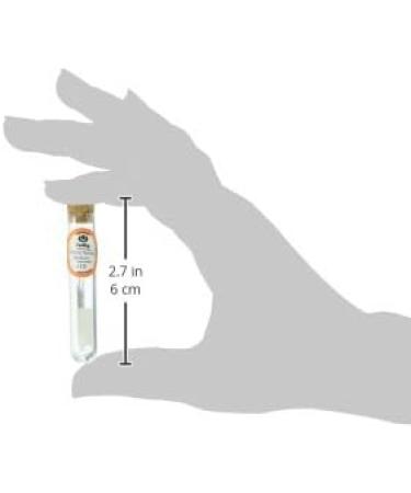 Sewline THN-005E Tulip Quilting Needles Size 10 - 6 Pack - Buy Online on GoSupps.com