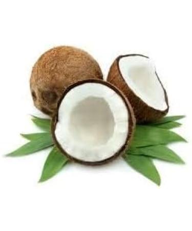 Coconut Milk Powder 500 g - Buy Online on GoSupps.com
