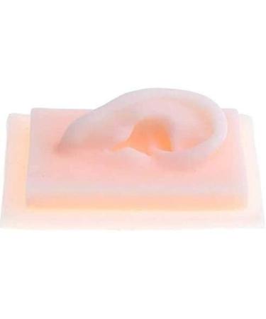Model of Ear A Model of Silicon Ears Couple Human Model The of The Medical Research Pelle9 7 X 6.3 Centimeters / 3.82 X 2.48Inch - Buy Online on GoSupps.com