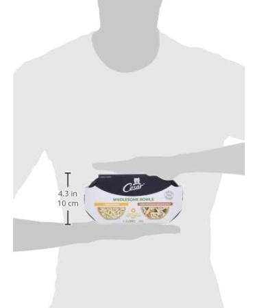 CESAR Wholesome Bowls Wet Dog Food - Chicken - Chicken Sweet Potato & Green Beans 6x85g Variety Pack Chicken - Chicken Sweet Potato & Green Beans 85 g (Pack of 6) - Buy Online on GoSupps.com