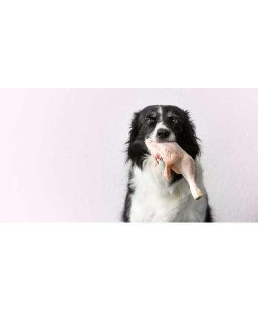 Roqsy Natural Chicken Jerky for Dogs - Grain-Free BARF Supplement - 200g (2x100g) Dry Meat Snack & Treat - Buy Online on GoSupps.com