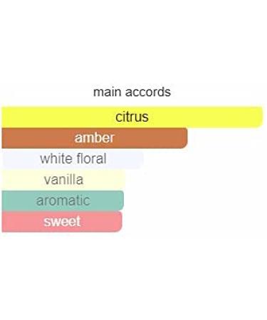 TIMELESS SANDS EDP 100 ML / 3.4 OZ (EXCLUSIVE NICHE PERFUME FOR WOMEN and MEN) - Buy Online on GoSupps.com