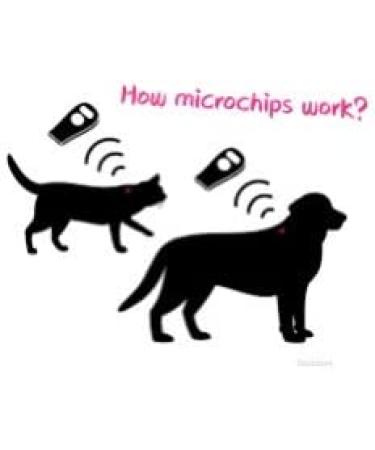 Backagin 2.12mm Microchips for Dogs and Cats - 20 Pack Implant Kit for Veterinary Management - Buy Online on GoSupps.com