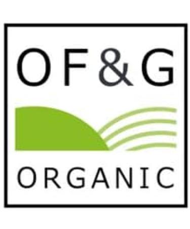 Superfoodies Raw Organic Criollo Cocoa/Cacao Nibs 100g - Sustainably Sourced from Peru, Non-GMO - Pack of 1 - Buy Online on GoSupps.com