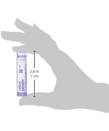 Ledum Palustre 30ch Boiron Homeopathic Medicine - Buy Online on GoSupps.com