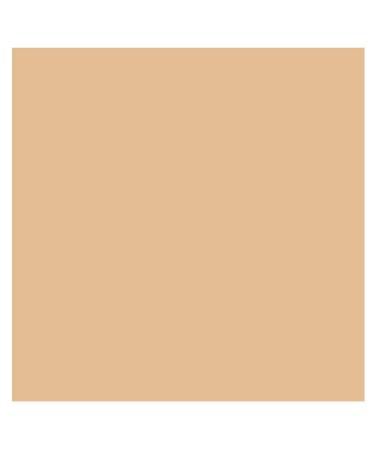 Even Better All-Over Concealer WN30 Biscuit - Full Coverage & Eraser Formula - Buy Online on GoSupps.com