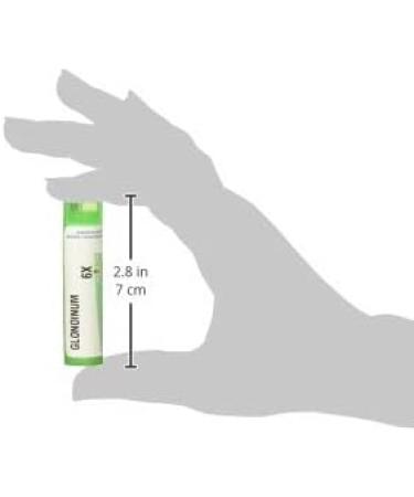 Boiron Glonoinum 6X MD - 80 Pellets for Sudden Hot Flashes & Headaches | Buy Internationally - Buy Online on GoSupps.com