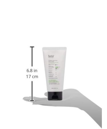 Belif Wormwood Cleansing Foam Face Cleanser 5.4 Fl Oz - Clean Beauty - Buy Online on GoSupps.com