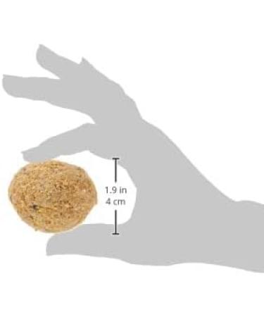 Premium Suet Fat Balls Wild Bird Pack of 50 - Buy Online on GoSupps.com