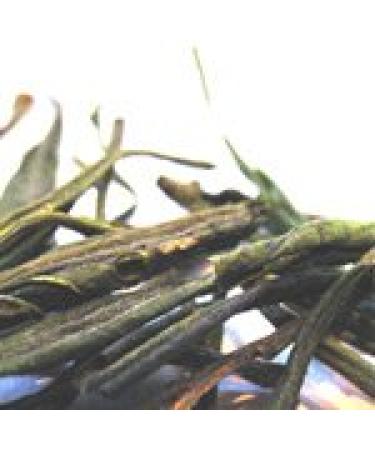 Leaf Shop Ltd 8 to 10 Cup Green Loose Tea Caddy