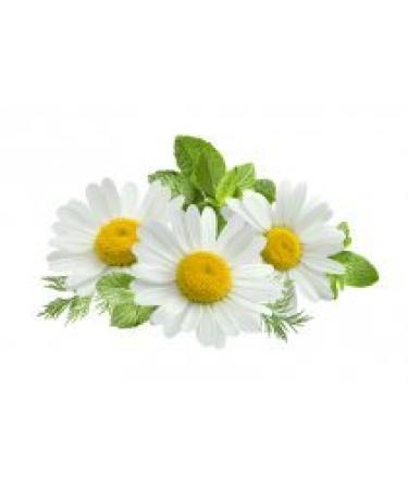 Organic Calendula Baby Oil 3-Pack - Soothing Massage Bath Oil for Baby Sleep & Dryness - Lavender, Chamomile, Jojoba - Mambino Organics - Buy Online on GoSupps.com