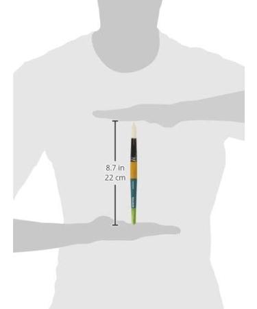 Princeton Taklon Round 20 Snap Brush - White, Size 20 - Buy Online on GoSupps.com