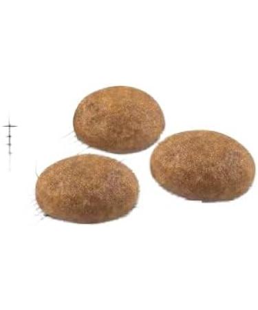 Royal Canin - Royal Canin Feline Outdoor 30 - 206 - 2 kg - Buy Online on GoSupps.com