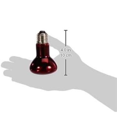 Exo Terra Infrared Basking Spot Lamp - 75W R20 E27 Socket - Pack of 2 for Reptiles | International Shipping - Buy Online on GoSupps.com