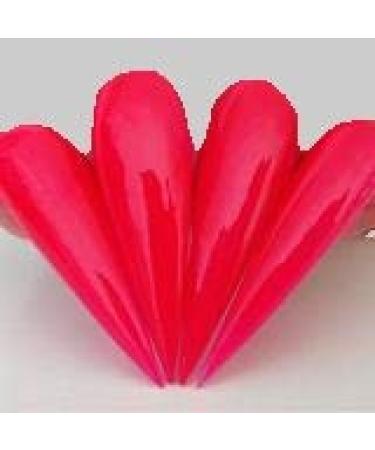 Kiara Sky Dip Powder - PINKAHOLIC Long-Lasting Lightweight Nail Dipping Powder (1oz) | International Shipping Available - Buy Online on GoSupps.com