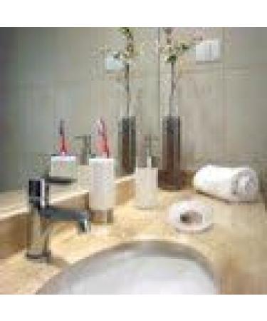 Buy Zilofresh 15003 Stainless Steel Soap - International Shipping Available | Best Odor Eliminator for Home & Kitchen - Buy Online on GoSupps.com